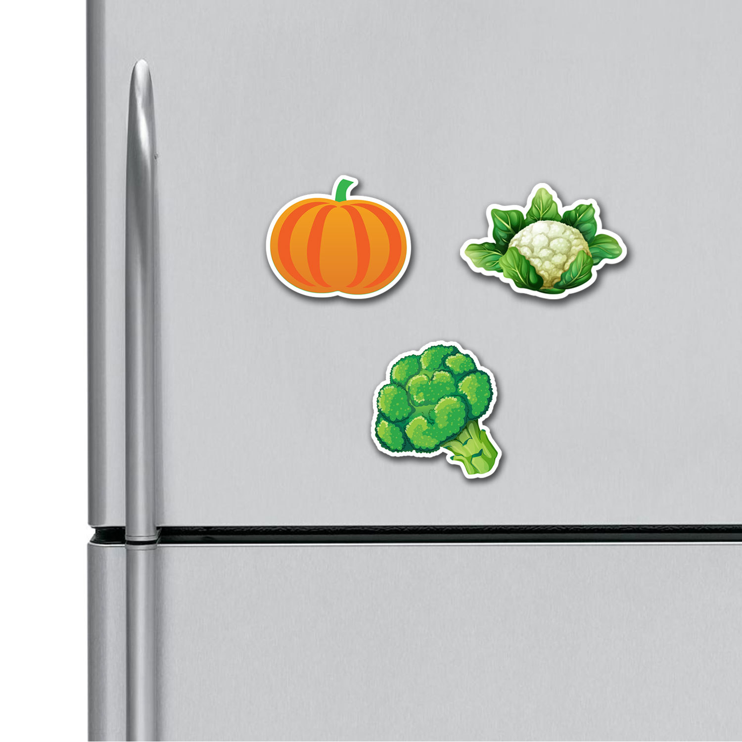 Pumpkin Cauliflower Broccoli Fridge Magnets Combo